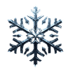 WinterTR